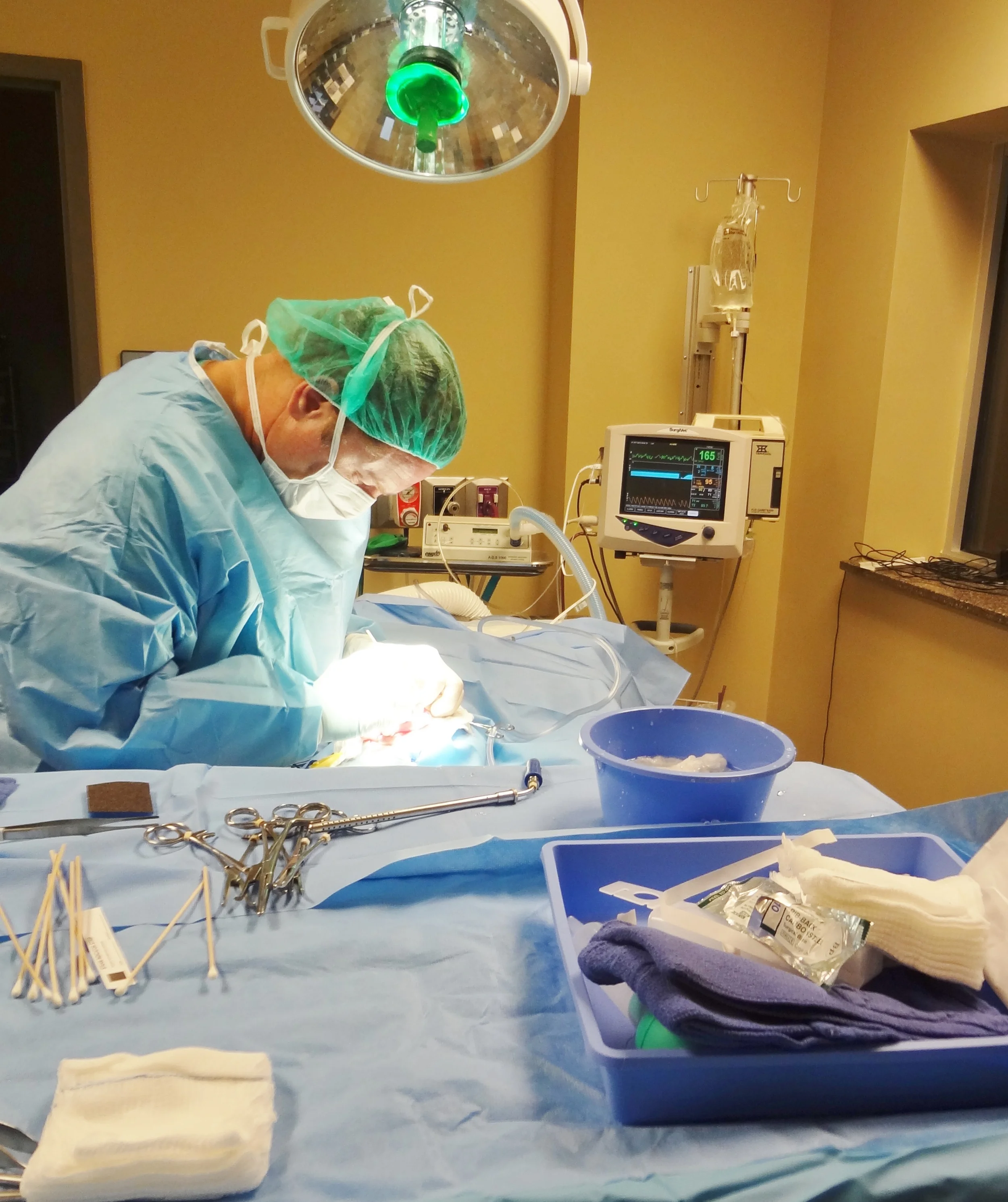 洋書 Veterinary surgical oncology Veterinary Surgical Oncology: 9781119089056: Medicine